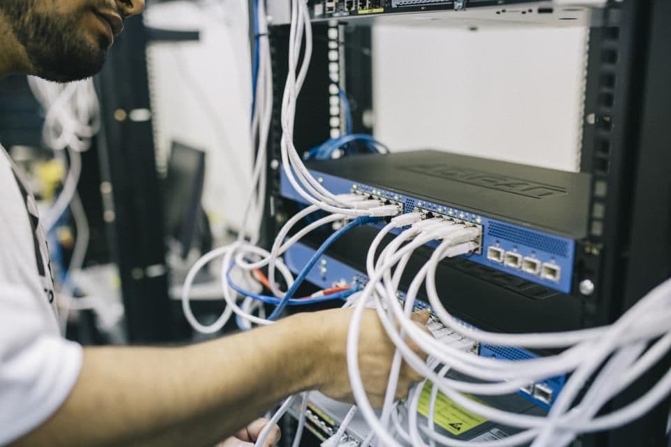 IT and data support staffing